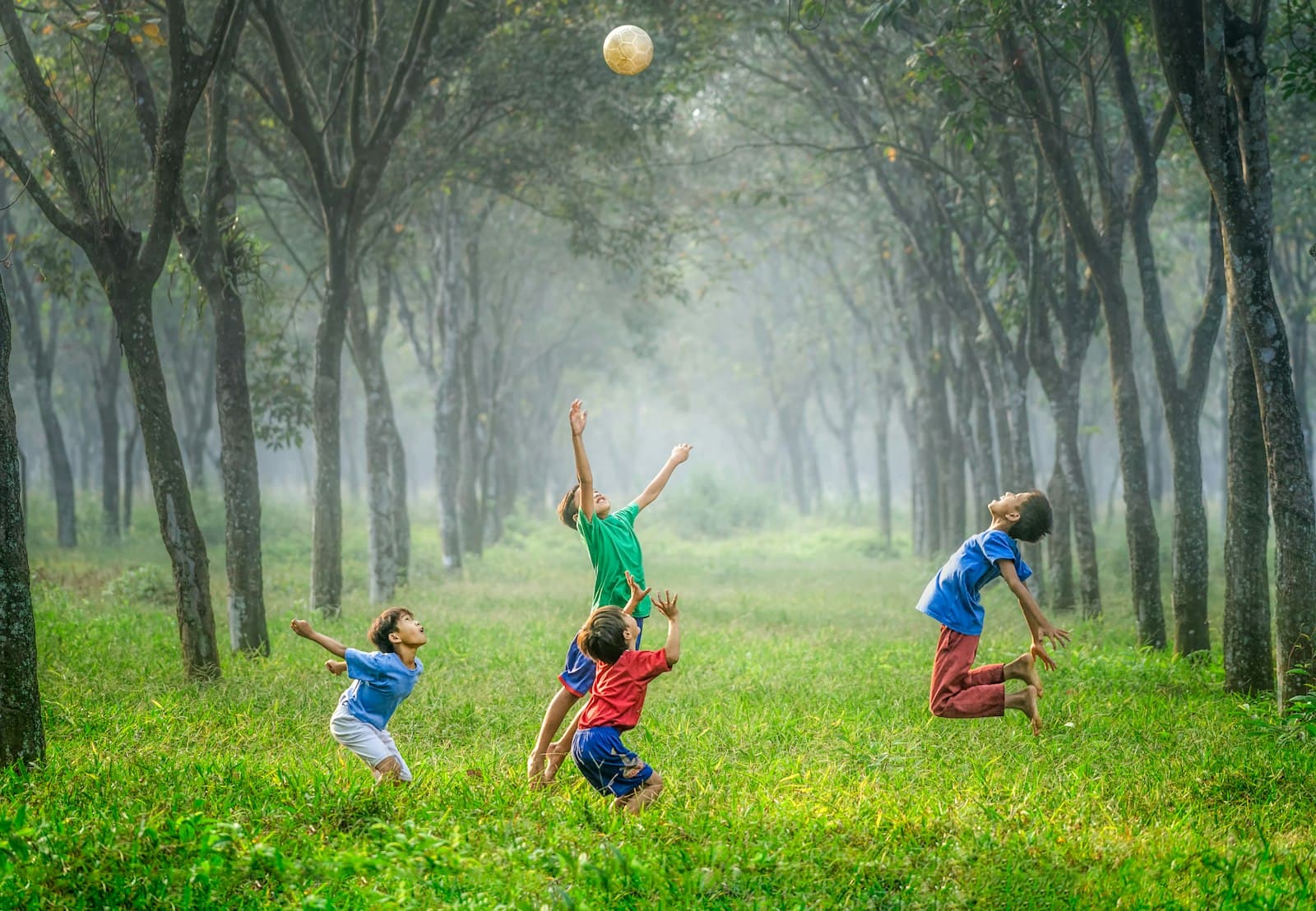 Four children playing with a ball in a green park